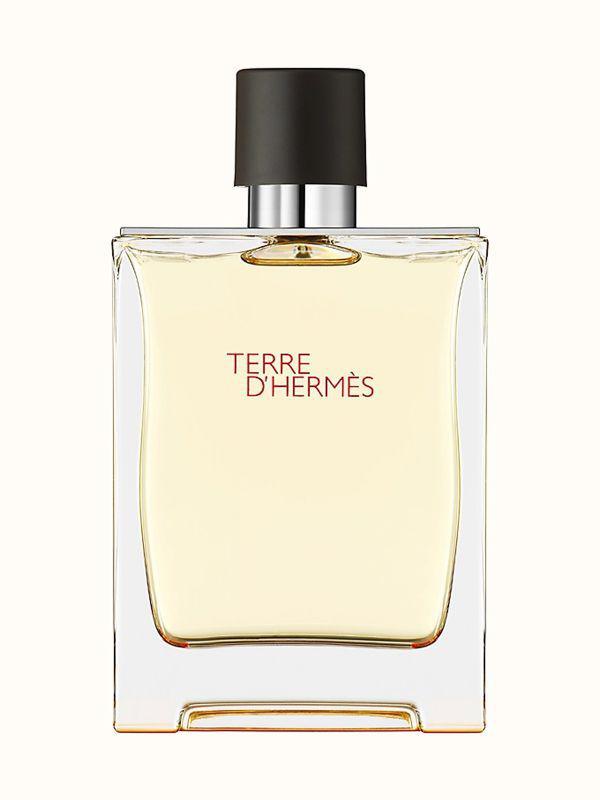 Hermes Terre D Hermes EDT 100Ml
