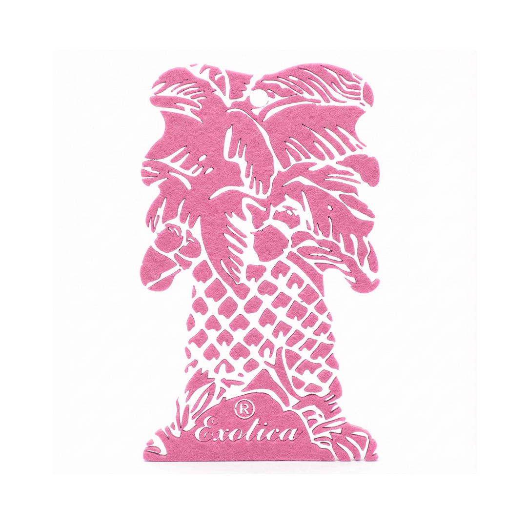 Exotica Car Air freshener(Hanging) BUBBLEGUM