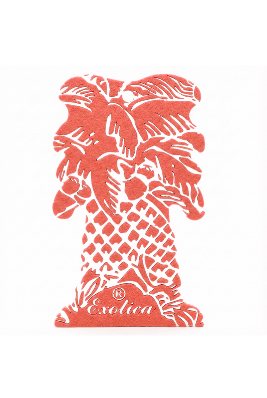 Exotica Car Air freshner(Hanging) Strawberry